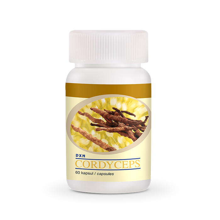 Cordyceps kapszula 60